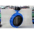 ISO5752 Series16 Monoflange Butterfly Valve with Ce ISO Wras Approved (D41X-10/16)